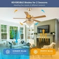 thumbnail image 6 of BayDay 62" Crystal Ceiling Fan Fandelier with Lights, Gold Modern Fan with Remote, Noiseless DC Motor, Energy-Efficient, Retro/Farmhouse Lighting for Living Room & Bedroom, Timer & 6-Speed Settings, 6 of 6