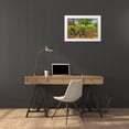 thumbnail image 3 of Goldwitz, Robert 18x13 White Modern Wood Framed Museum Art Print Titled - Barnyard Chairs, 3 of 4