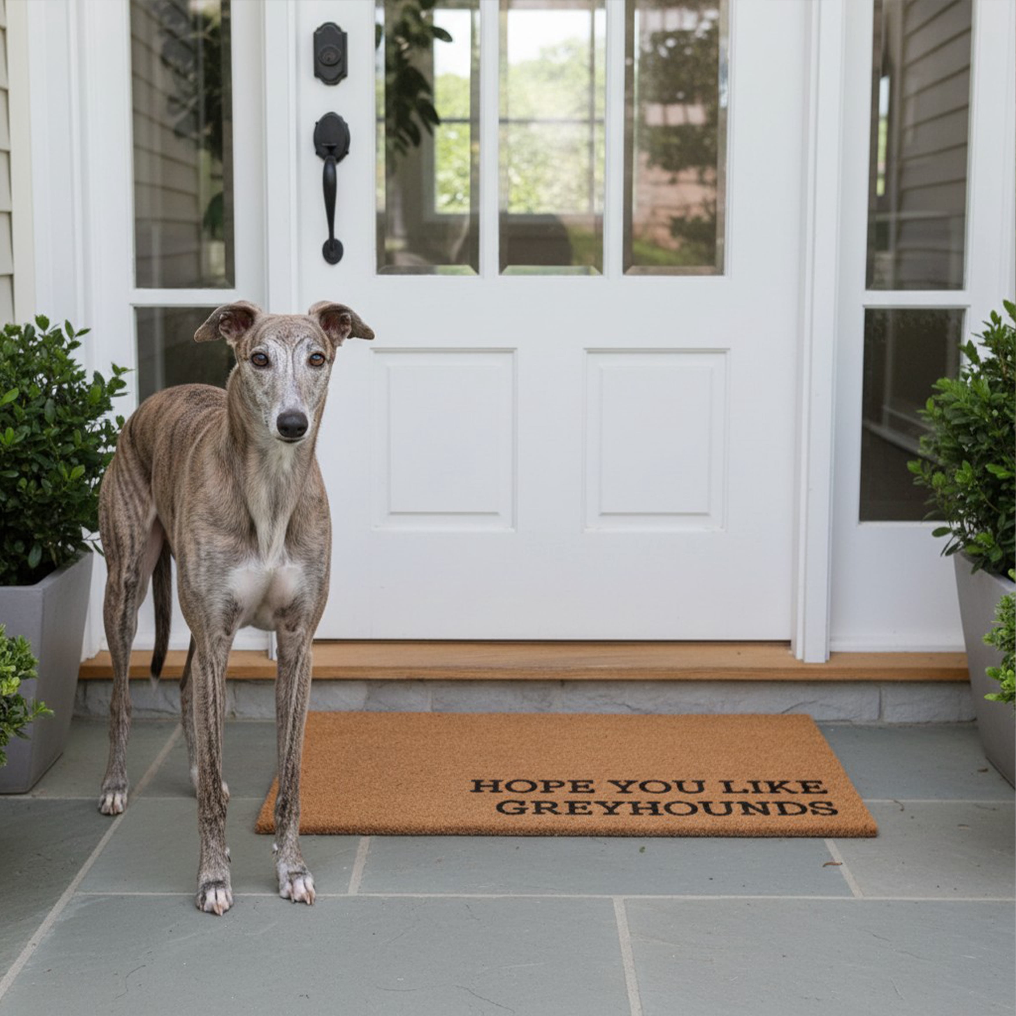 Hope You Like Greyhounds Non Slip Vinyl Backing, Front Doormat, Entryway Doormat, 24"x36"