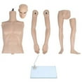 thumbnail image 4 of Ktaxon Male Body Model Plastic Mannequin Full Body Dress Form Shopwindow Display, 4 of 8