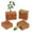 brown, variant on CREATITOY 4PC Realistic Plant Growth Cycle Educational Toys for Kids 3+ | Safe PVC Science Figurines Kit for Preschool Learning & Home Decor