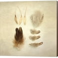 thumbnail image 1 of Feathers II Square by Elizabeth Urquhart, Canvas Wall Art, 1 of 1