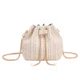 thumbnail image 2 of Bandolera informal de paja para mujer bolso de hombro con cadena Ehuebsd para chica regalos de fiesta y vacaciones de verano, 2 of 9