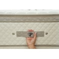 thumbnail image 3 of PlushBeds 12" Luxury Bliss Medium Natural Latex Mattress With Encased Coils, 3 of 5