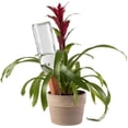 thumbnail image 2 of Estacas de riego automático para plantas Modern Innovations, paquete de 4 unidades, 17 cm, 2 of 7