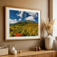 thumbnail image 5 of Presidential Autumn 01 - New Hampshire Photography Autumn Nature Landscape Forest Mountain Scenic Unframed Wall Art Print 40 x 60 inches, 5 of 7