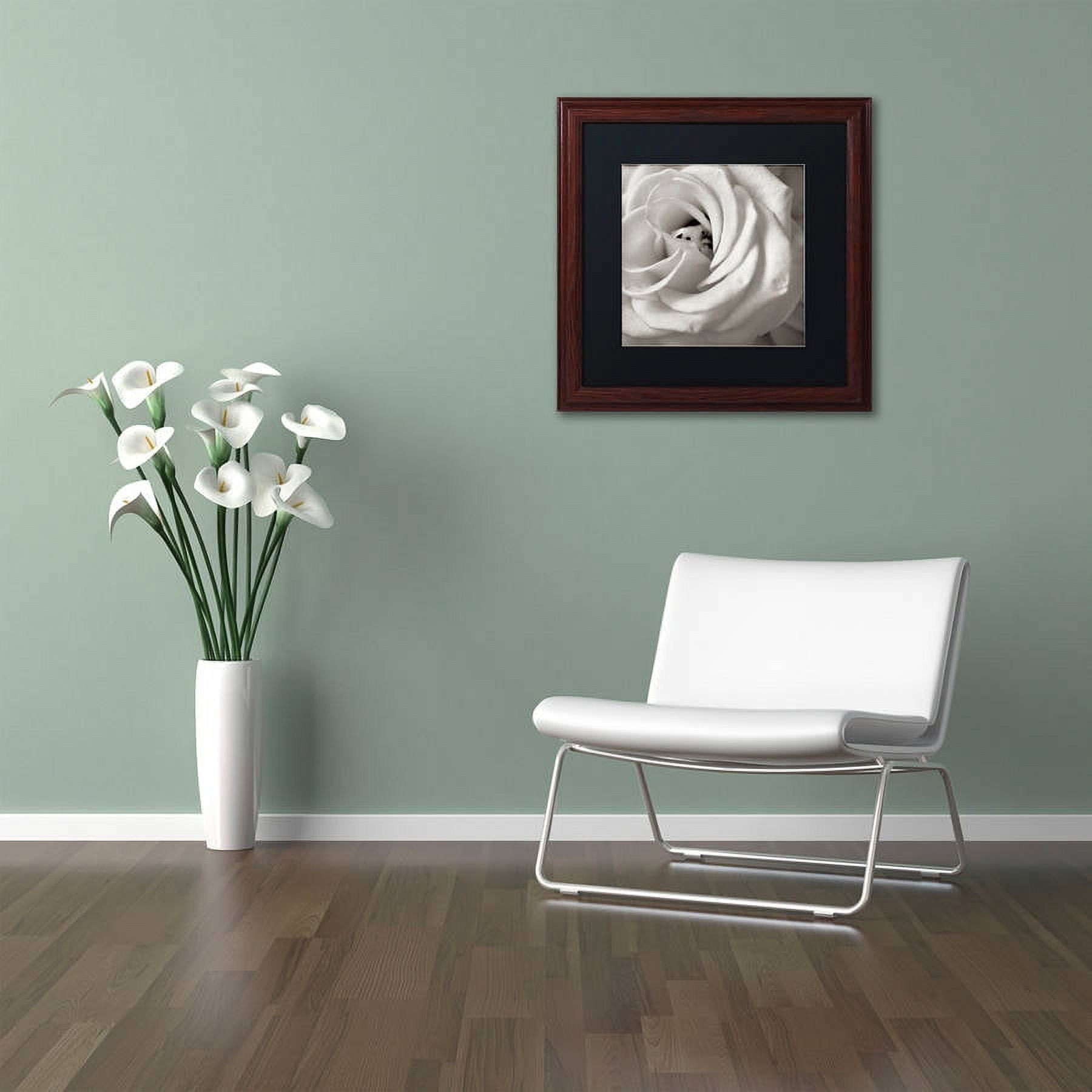 Trademark Fine Art "Florison 43" Canvas Art by Alan Blaustein, Black Matte, Wood Frame