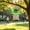 Green#917, variant on Bird Feeder Rain Guard Weatherproof Squirrel Baffle – Transparent Hanging Dome Cover for Hummingbird, Tube and Tray Feeders – Keeps Bird Dry and Deters Bees for Outdoor Garden Use