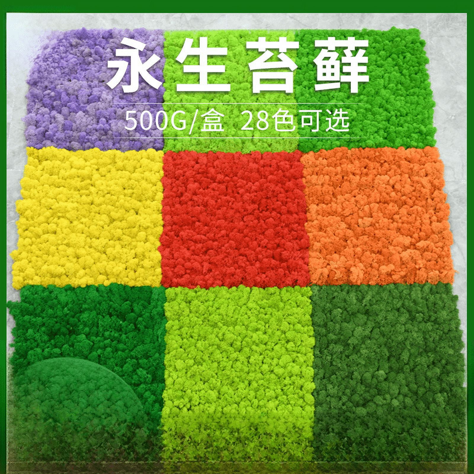 Immortal Moss boxed moss plant wall landscaping Moss shop window interior decorations micro-landscape eternal flower Moss. - Yellow green