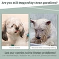 thumbnail image 3 of Grooming Tool Double-Sided Undercoat Rake for Dogs,Combs Brush, 3 of 4