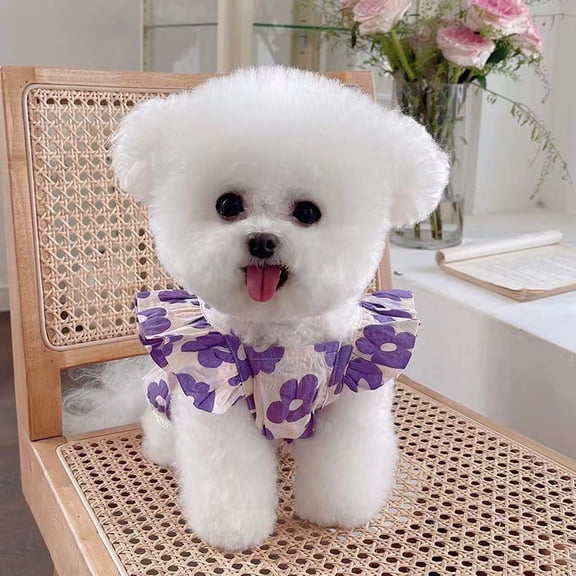 Cute Dog Clothes,Dog T Shirt for Medium Dogs.Dog Clothes for Small Dogs Girl Boy,Puppy.Breathable Soft Dog Costume Pet Dogs Cats,Cat Clothes