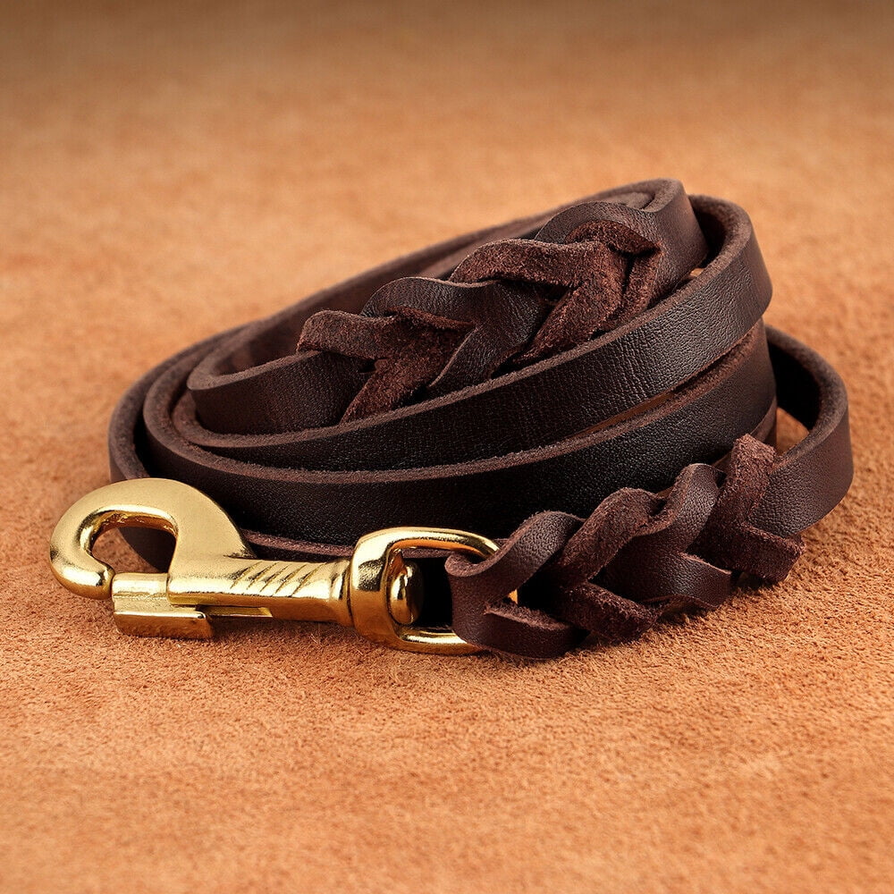 Didog 5ft Long Genuine Leather Dog Leash Fashion Braided Training Walking Leashes Heavy Duty for Large Breeds