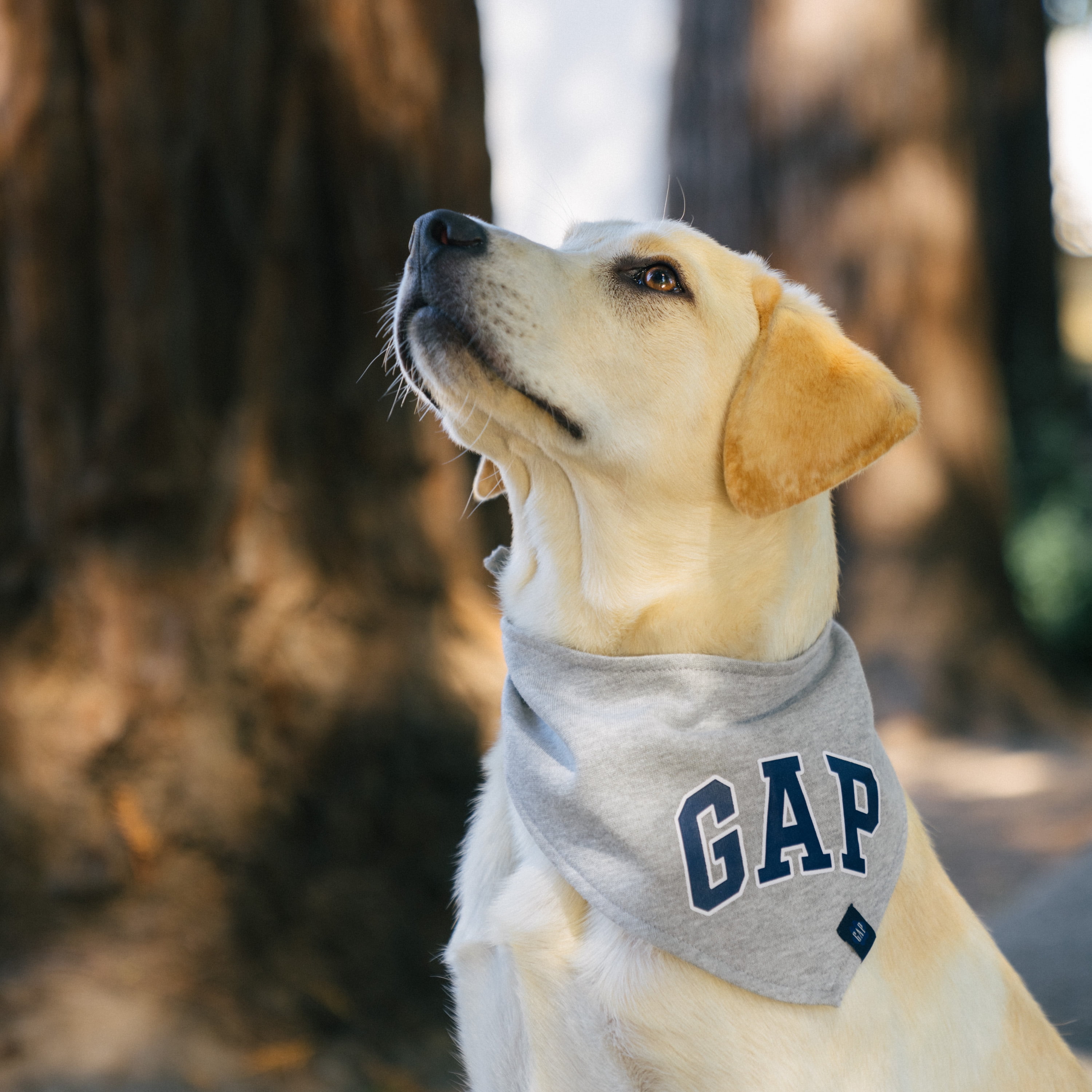 Gap Pet, Dog Clothes, Fleece Dog Bandana, Gray