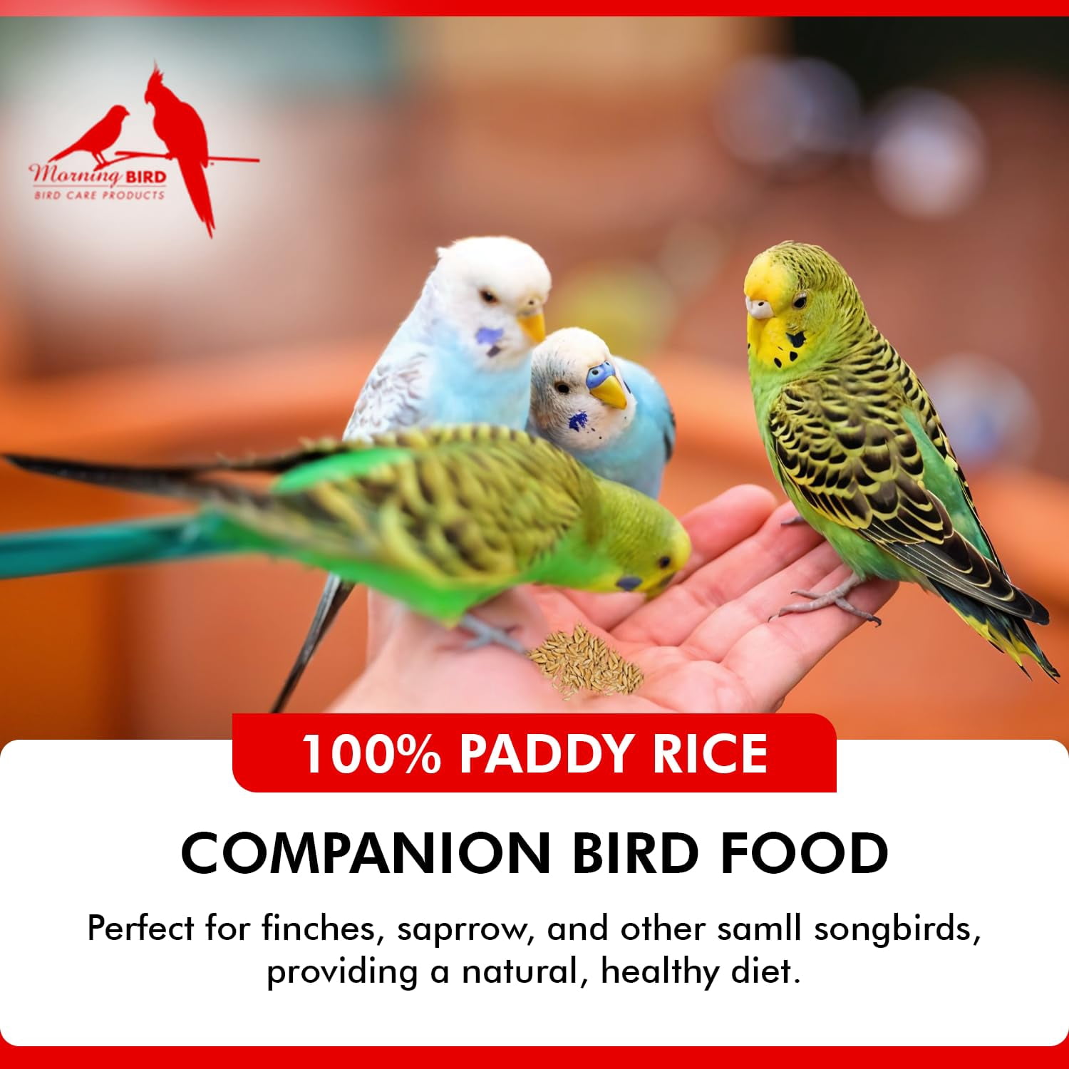 Morning Bird Paddy Rice 18 lbs (2-Pack, 9 lbs Each) – High-Quality Bird Seed for Optimal Health & Nutritious Pet Bird Food – Supports Feathers & Immunity – Ideal for all Seed Eating Birds