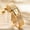 Gold, variant on Small Gold Watches for Women, Women's Gold Tone Rectangular Quartz Watch, Stainless Steel Band, 3ATM Water Resistant, Classic Dress Wristwatch for Ladies (Gold)