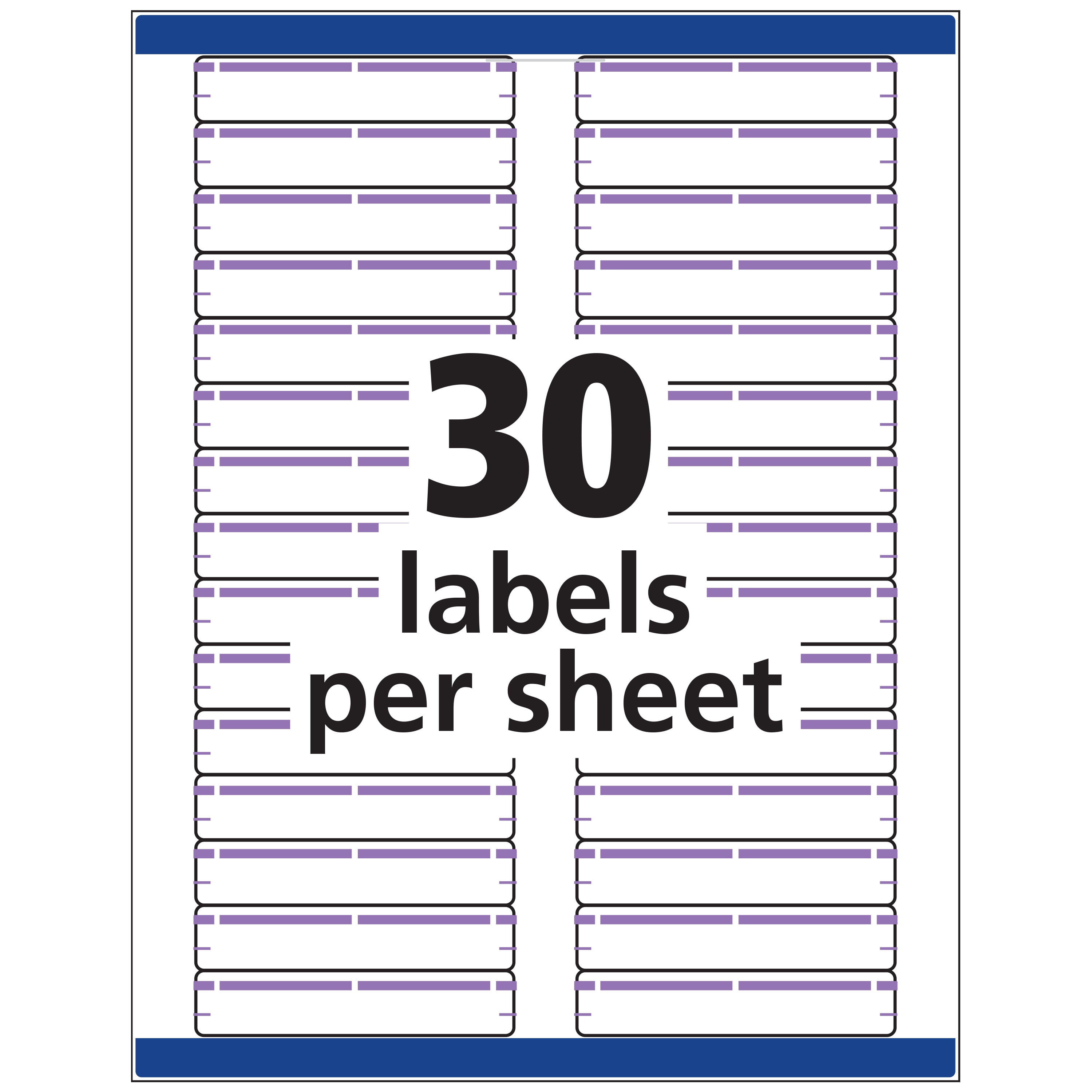 Avery File Folder Labels, 2/3" x 3-7/16", White/Purple (5666)