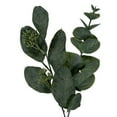 thumbnail image 2 of 6 Green Eucalyptus, 2 of 2