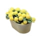 thumbnail image 1 of Mini planta artificial en maceta, accesorios para casa de muñecas, decoración, modelo de bonsái en miniatura para decoraciones de jardín a escala 1:6 Amarillo, 1 of 8