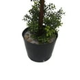 thumbnail image 4 of Vickerman 5' Artificial Potted Triple Ball Green Boxwood Topiary. Ball sizes are 10", 12" and 14"., 4 of 6