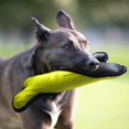 thumbnail image 4 of CHOK Solid Tuff Nylon Rubber Bone Dog Toy  11-inch, 4 of 8