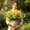 Yellow(6PC), variant on 6 Pcs Artificial Wildflowers Flower Stems 14.2" Spring Flowers for Flower Arrangements Home Decor Indoor Outdoor Wedding Centerpieces(Yellow)