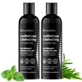 thumbnail image 1 of Gel de baño Roycederm CoolDefense antimicótico para hombre, paquete de 2, 1 of 8