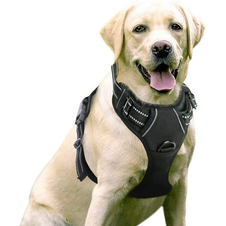 rabbitgoo Dog Harness, No-Pull Pet Harness with 2 Leash Clips, Adjustable Soft Padded Dog Vest, Reflective Outdoor Pet Oxford Vest with Easy Control Handle for Large Dogs, Black