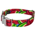 thumbnail image 3 of Country Brook Petz® Premium Summer Melon Dog Collar and Leash, Large, 3 of 6