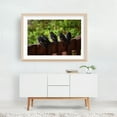 thumbnail image 5 of Washington Barn Swallow Juveniles Anticipating Flight - Ocean Shores Washington Photography Bird Wildlife Nature Animal Woodland Scenic Winter Oak Framed Wall Art Print 12 x 18 inches, 5 of 6