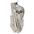 thumbnail image 3 of BAG OF BONE - 12PCS, 3 of 5