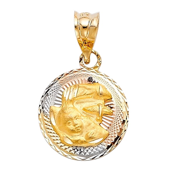 14K Tri Color Gold Diamond Cut Stamp Baptism Religious Charm Pendant for Necklace Chain | Gift for Men Women | 15 x 12 MM | 1.1 grams
