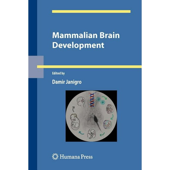 Contemporary Neuroscience Mammalian Brain Development, (Paperback)