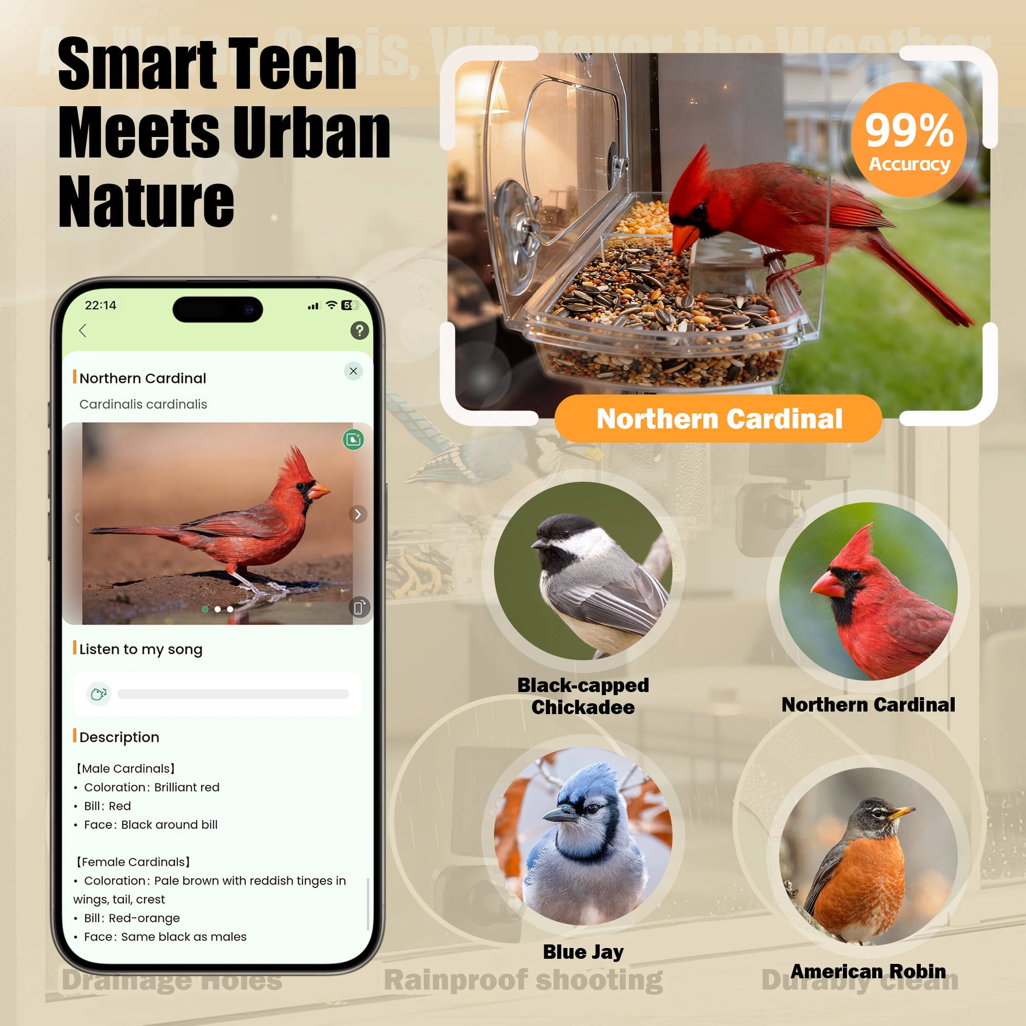 Coolfly x Freeseason Smart Window Bird Feeder with 2K HD Camera, Suction Cup Mount for Apartments, Anti-Glare Video with AI Species ID & No Monthly Fees - Charming House Shape