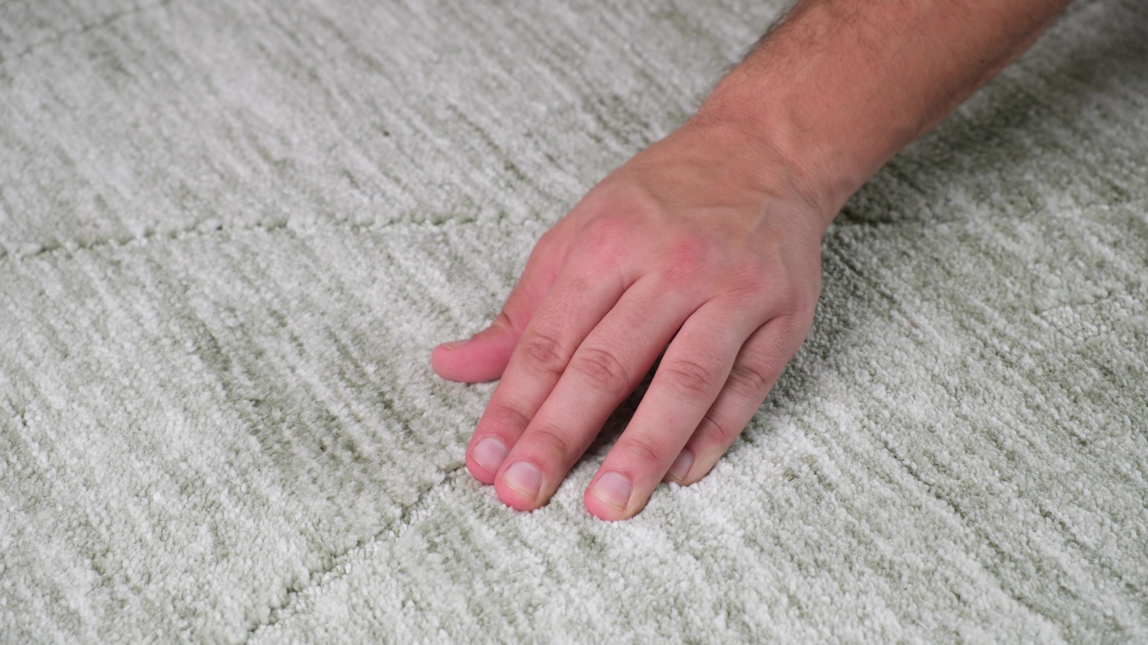 Rug Branch Maya Modern Boho Indoor Hand-Tufted Area Rug