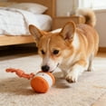thumbnail image 5 of Interactive Automatic Rolling Rechargeable Smart Play with Rope for Indoor Outdoor Puppy Training and Exercise, 5 of 5