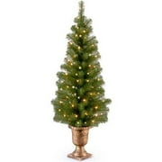 National Tree 238825 19 in. x 4 ft. Montclair Spruce Entrance Artificial Tree with 70 Clear Lights & 180 Tips