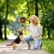 thumbnail image 4 of Pelota olfateadora para perros, juguete para cachorros, tapete, rompecabezas para perros, accesorios para mantenerlos ocupados, juegos interactivos de alimentación, 4 of 6