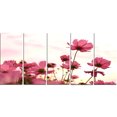 thumbnail image 2 of Cosmos Flowers Meadow At Sunset - Floral Canvas Art Print, 2 of 3