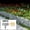 Gray, variant on Garden Edging Kits,No-Digging Garden Plastic Fences with 30 Gray Stakes Landscaping Border for Flower Beds,Yards,Lawns (25ft Length)