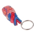 thumbnail image 2 of Modelo de Corazón Zulema Coleccionables Adorno de Juguete Llavero Humano, 2 of 6