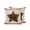 Multicolor, variant on Blue Mountains Outdoor Throw Pillow with Insert, 18"x18" Oriental Water Mountain Golden Lines Crane Boat Waterproof Decorative Square Patio Pillows for Small Patio Chairs, Balcony, Couch