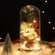 thumbnail image 3 of Cúpula de cristal Plantas navideñas Decoraciones navideñas Cúpula de cristal Rama de pino navideño con luces, 3 of 5