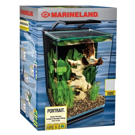 Best Desk Aquarium