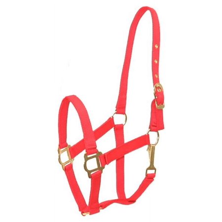 Gatsby Classic Nylon Halter/Snap Pony Red