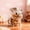 White, variant on French Bulldog Candy Jar, Airtight Glass Snacks Container With Lid Transparent,For Dog Snacks, Cookies, Candies, Coffee Pods, Fun Decorative Kitchen Storage For Dogs Lovers