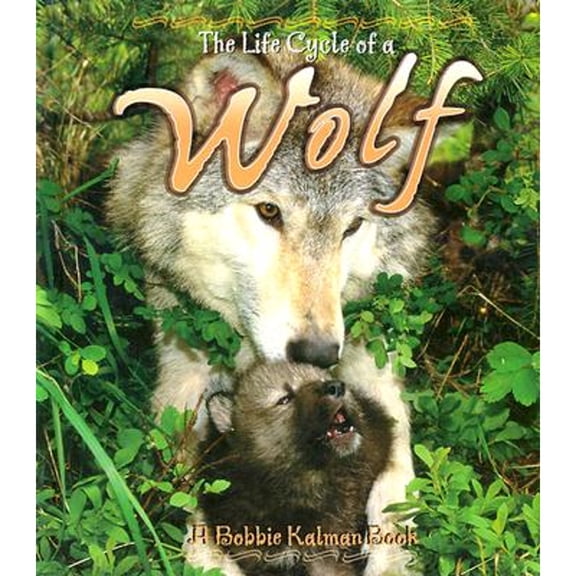 Pre-Owned The Life Cycle of a Wolf (Hardcover) by Amanda Bishop, Bobbie Kalman