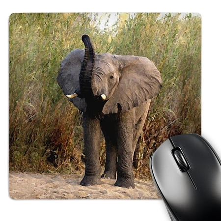 3dRose  Elephant  MousePad price history on PriceWatchPro