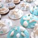 thumbnail image 2 of Crafting Shells JQAQJU con forma de estrella de mar y vieira, 3-4 pulgadas, 12 unidades, 2 of 8