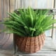 thumbnail image 4 of 40 Piezas Planta de Plástico Artificial del Arbusto del Helecho de Boston Colgando Vegetación Falsa Decoración del Hogar, 4 of 5