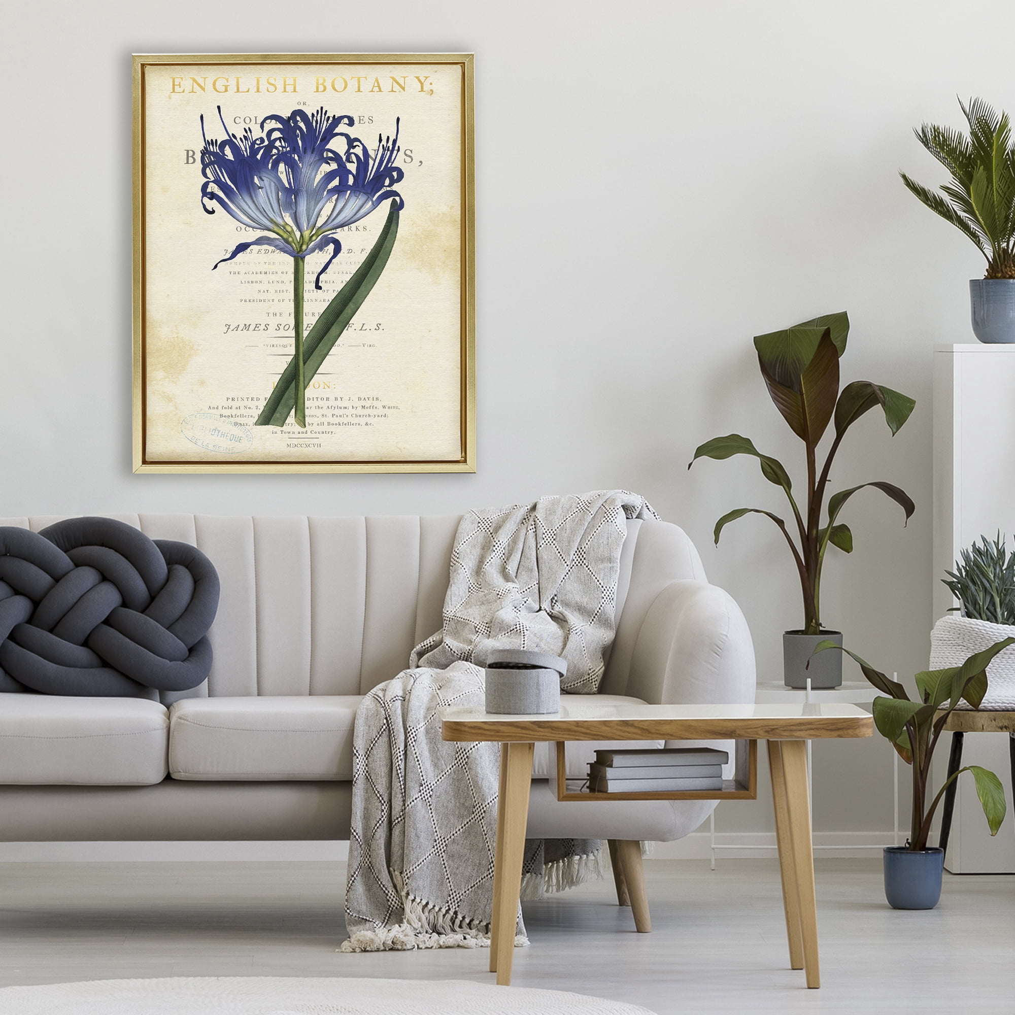 Stupell Industries English Botany Blue Floral Gold Framed Floater Canvas Wall Art, design by Susan Arnot